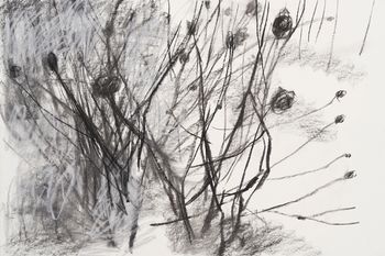 Joachim Dietrich: Im Rhythmus der Natur