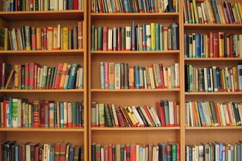 Offener Bücherkeller
