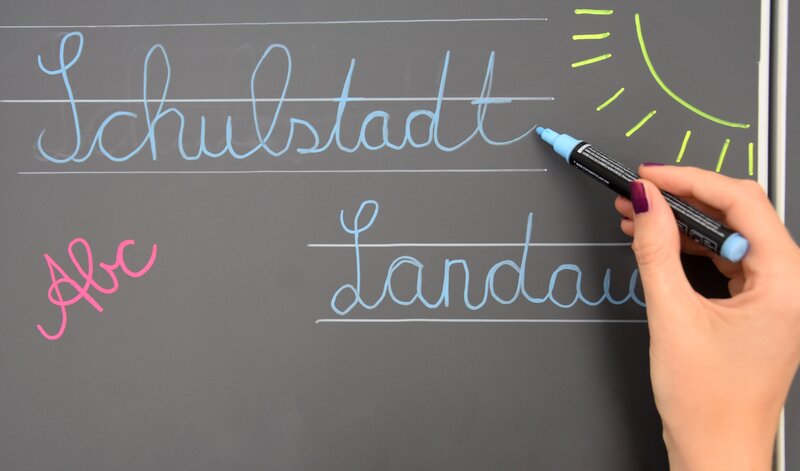 Infoabend: Alle weiterführenden Schulen in Landau stellen sich vor