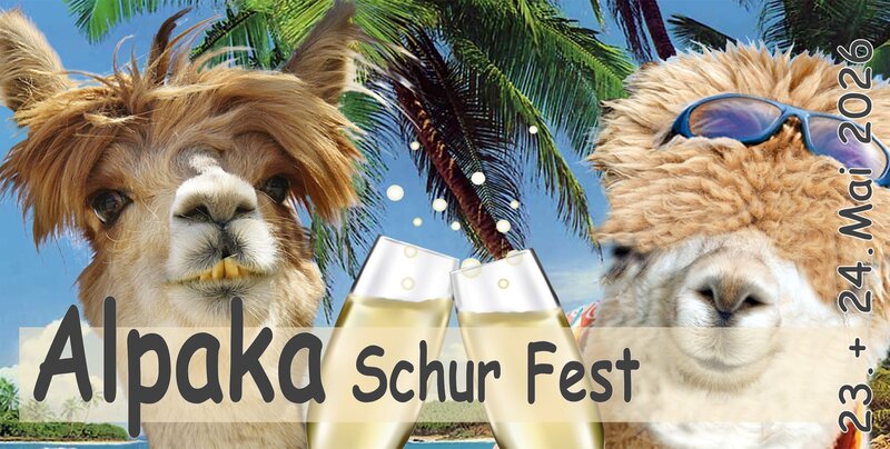 Alpakaschurfest