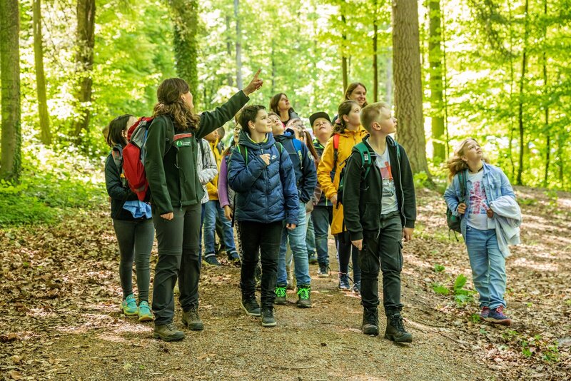Walderlebnis-Wochenende auf dem Taubensuhl