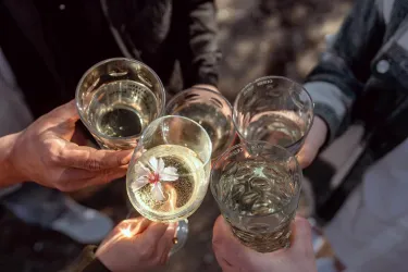 Neustadt entdecken & WINE.Event erleben