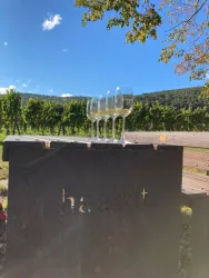 Weinlagen Erlebnis-Tour über die Haardt