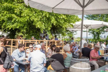 Sommerfest unter den Linden im Weinland Königsbach