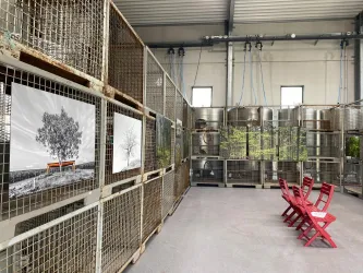 4. Kunstmeile Hainfeld im Weingut Scherr