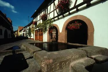 Leinsweiler Sommer