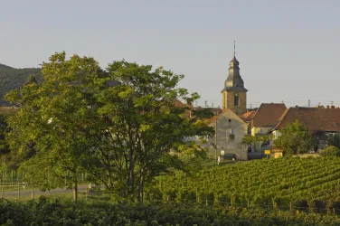 Weinfest Frankweiler