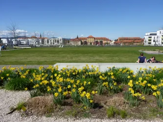 Landauer Südpark