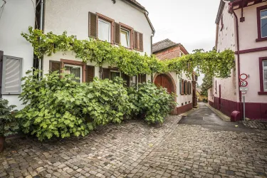 Stadtführung „Cool Places“ in Edenkoben