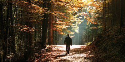 Wanderung zum Wanderheim Hohe List (11 km)