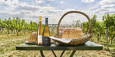 Weinbergwanderung mit Picknick