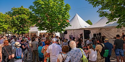 Heimat- und Blütenfest