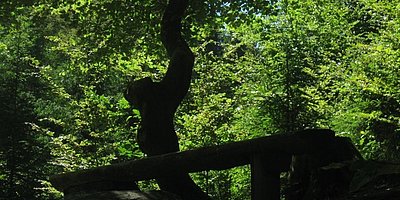 Petronell-Erlebnisführung