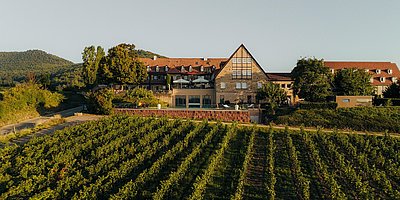 „Fahrspaß trifft Sommerfeeling“ im Leinsweiler Hof