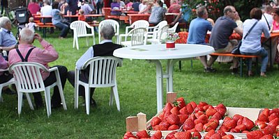 Herxheimer Erdbeermarkt