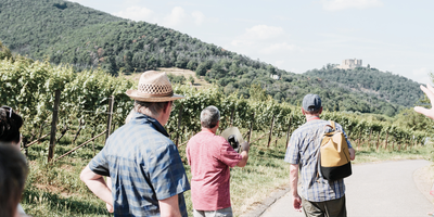 Weinbergsführung Waldwingert