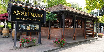 Weinbergswanderung - Weingut Anselmann