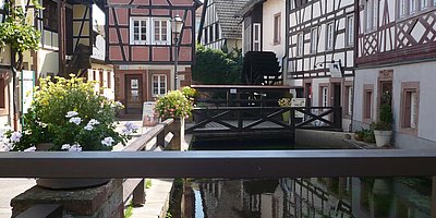Sonderausstellung „Fossilien - Eine spannende Reise durch die Erdgeschichte“