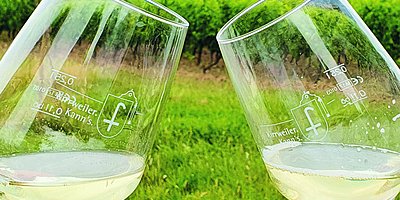 Wein, Wandern & Weingeschichte(n)