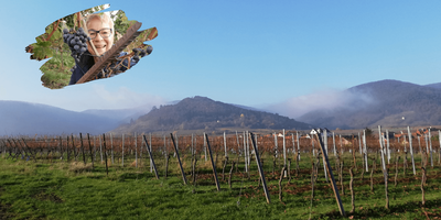 Lachwanderung: Lachen in den Weinbergen