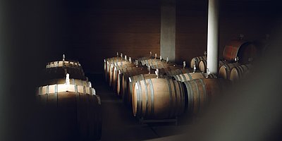 Stadtwald Taubensuhl - Holz in Wein erriechen - am 20.09.2026