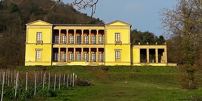 Führung: (Wein)- Kultur der Pfalz