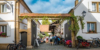 Weintreff & Pfälzer Snacks im Weingut Rinck-Wüst