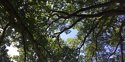 Nachhaltigkeits-Rundtour um Burg Lindelbrunn