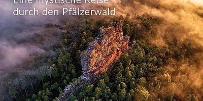 Foto-Ausstellung "Eine mystische Reise durch den Pfälzerwald"
