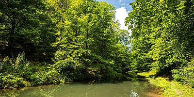 Auf dem Holzweg-Alte Berufe im Pfälzerwald:Triften