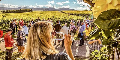 Wein & Schokolade im Rosengarten