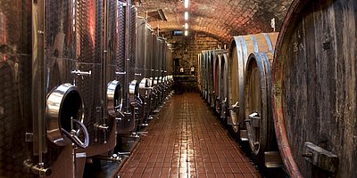 „Flucht ins Kühle“ – Weinprobe im Sandsteingewölbekeller