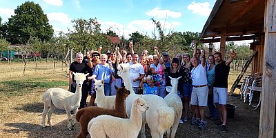 Weinprobe auf der Alpakaweide